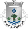 Vlag van Branca