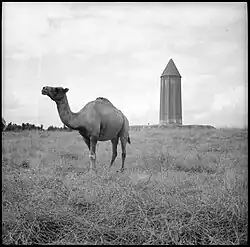 Iran, Gonbad-e Qabus, 1939-1940