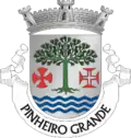 Vlag van Pinheiro Grande