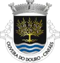 Vlag van Oliveira do Douro