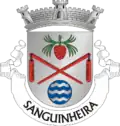 Vlag van Sanguinheira