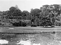 Foto van 's Lands plantentuin (1e helft 20e eeuw)