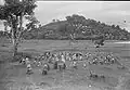 Begraafplaats bij een op een heuvel gelegen dorp op Lombok, 1949, collectie Wereldmuseum Amsterdam