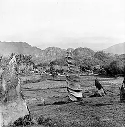Bij elk dodenfeest wordt op deze offerplaats een steen toegevoegd en worden de te offeren karbouwen eraan vastgebonden, Rantépao, Toraja, Celebes, Tropenmuseum