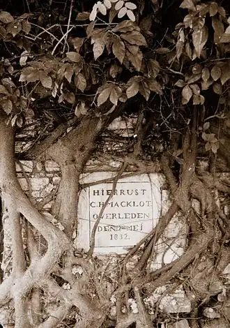 Grafsteen van C.H. Macklot in Karawang overwoekerd door boomwortels.