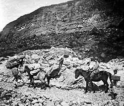 Tocht te paard naar de krater van de Papandayan
