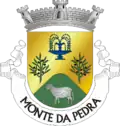Vlag van Monte da Pedra