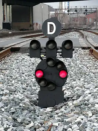 Foto van een Amerikaans dwergsein