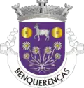 Vlag van Benquerenças