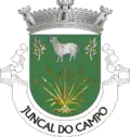 Vlag van Juncal do Campo