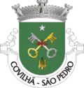 Vlag van São Pedro
