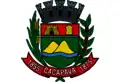 Wapen van Caçapava