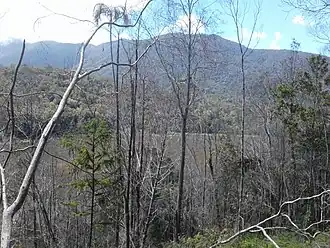 Het Cyclopsgebergte met Sentanimeer op de voorgrond.