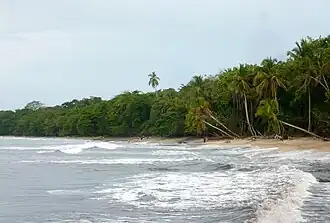 Cahuita