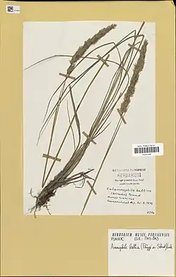 Herkomst: Leeuwenhorst