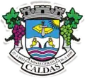 Wapen van Caldas