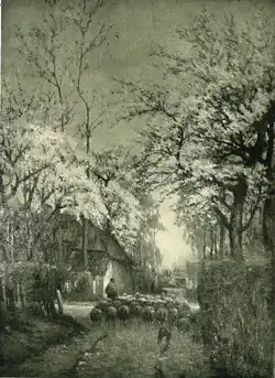 Lente (zonnige dreef)