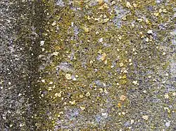 De associatie op een betonnen wand