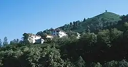 Theeplantages in het district