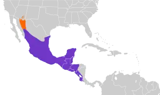 Chaparralvliegenpikker