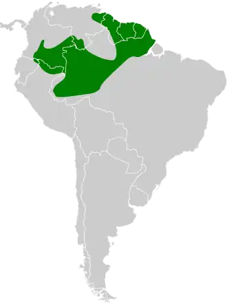 Kromsnavelmuisspecht