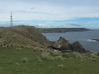 Westkust van Cape Grim, Tasmanië, op het zuiden. De toren maakt deel uit van het Cape Grim Baseline Air Pollution Station.