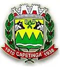 Wapen van Capetinga