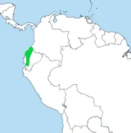 Geschubde baardvogel