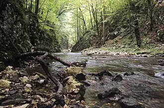 Nationaal park Semenic-Cheile Carașului