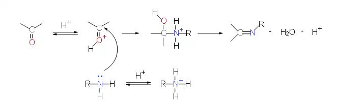 Mechanisme van carbonyl-amine-condensatiereactie