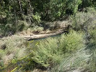 nabij de Bussell Highway