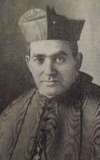 Pedro Segura y Sáenz