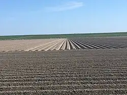 Uitgestrekte landerijen in de Carel Coenraadpolder (2020)