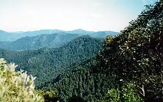 Nationaal park Barrington Tops