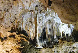 Nationaal park Carlsbad Caverns