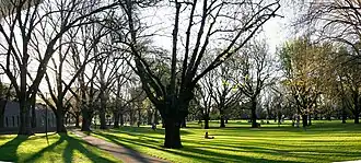 Carlton Gardens
