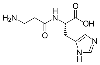 Structuurformule van Carnosine