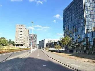 Carolina MacGillavrylaan vanaf de Molukkenstraat (september 2018)