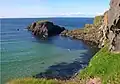 Vogels te Carrick-a-Rede