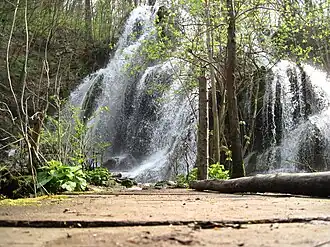 De Beușnița-watervallen