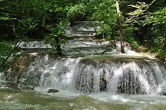 Nationaal park Cheile Nerei-Beușnița