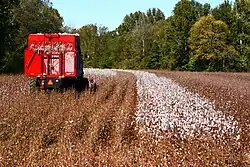 Katoenoogstmachine in Mississippi, 2007