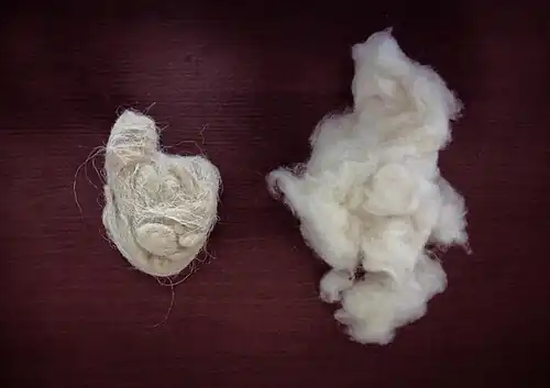 Ruw en gereinigd pashmina dons: de vezel meet 12,8&nbsp;μm