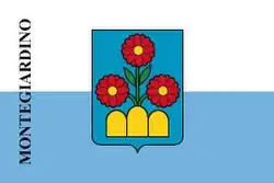 Vlag van gemeente