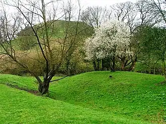 De terp waarop voorheen een mottekasteel stond, in Middleton-on-Leven