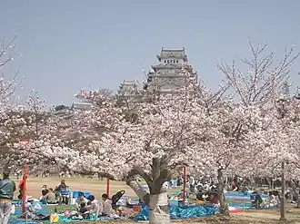 Hanami matsuri-picknicks bij het kasteel Himeji