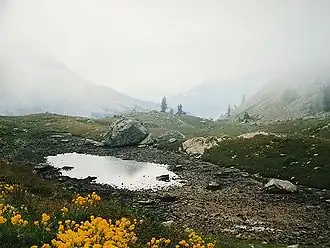 Ochtendmist op de pashoogte