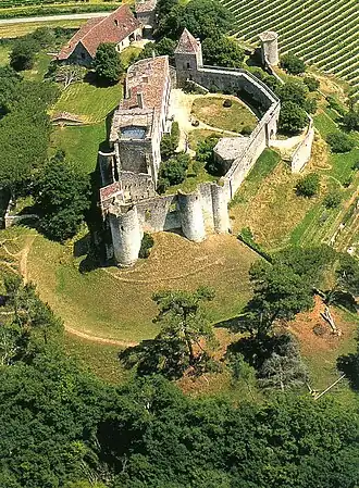 Château de Benauges, Arbis