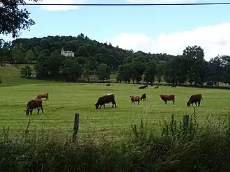 Château de Fontenille (19e eeuw)