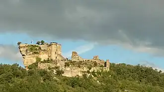 Château de Peyrelade